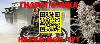 бошки Кунгур
