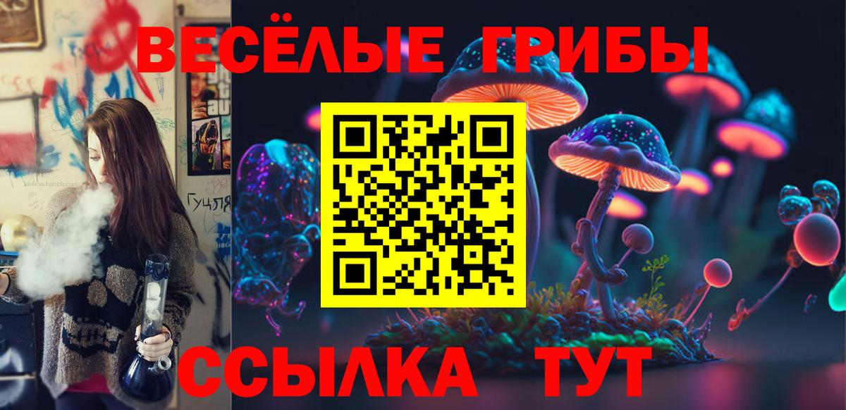 Галлюциногенные грибы Psilocybe Видное